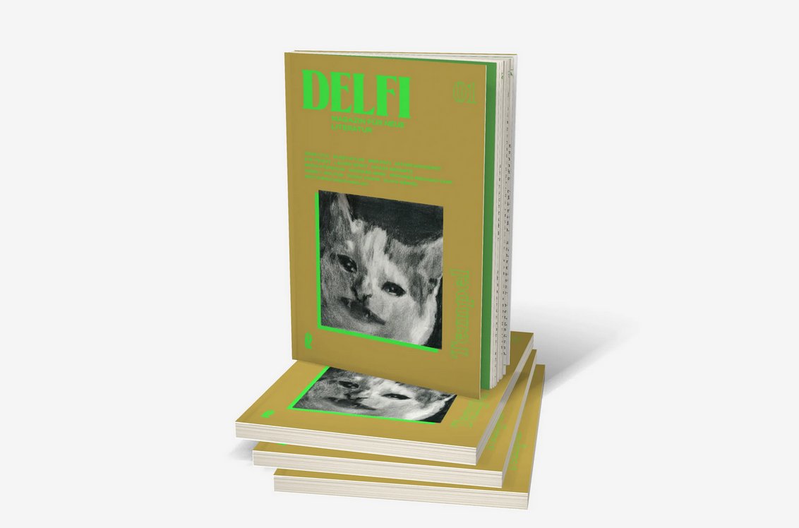 Please joins us on 5/1 at 6 PM for a literary salon and reading with @fatma_morgana @EileenMyles @habibitus and @UliBaer focusing on the new literary magazine 'Delfi' (with brand new translations by @jp0lizei): docs.google.com/forms/d/e/1FAI…