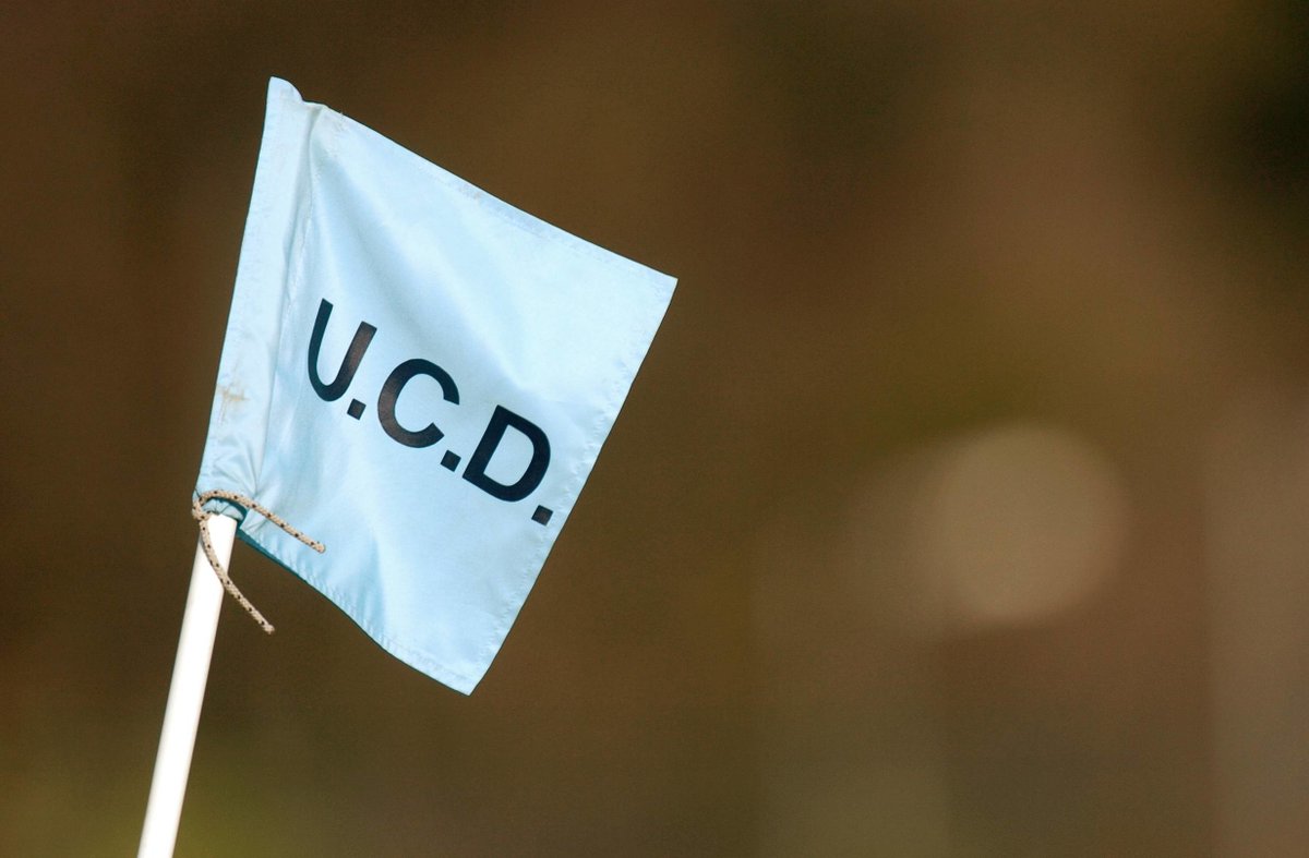 🏉 | @UCDRugby reach @bankofireland McCorry Cup Final, after defeating @ClontarfRugby in a thriller March Report 👉 bit.ly/4daLUpw #FromTheGroundUp