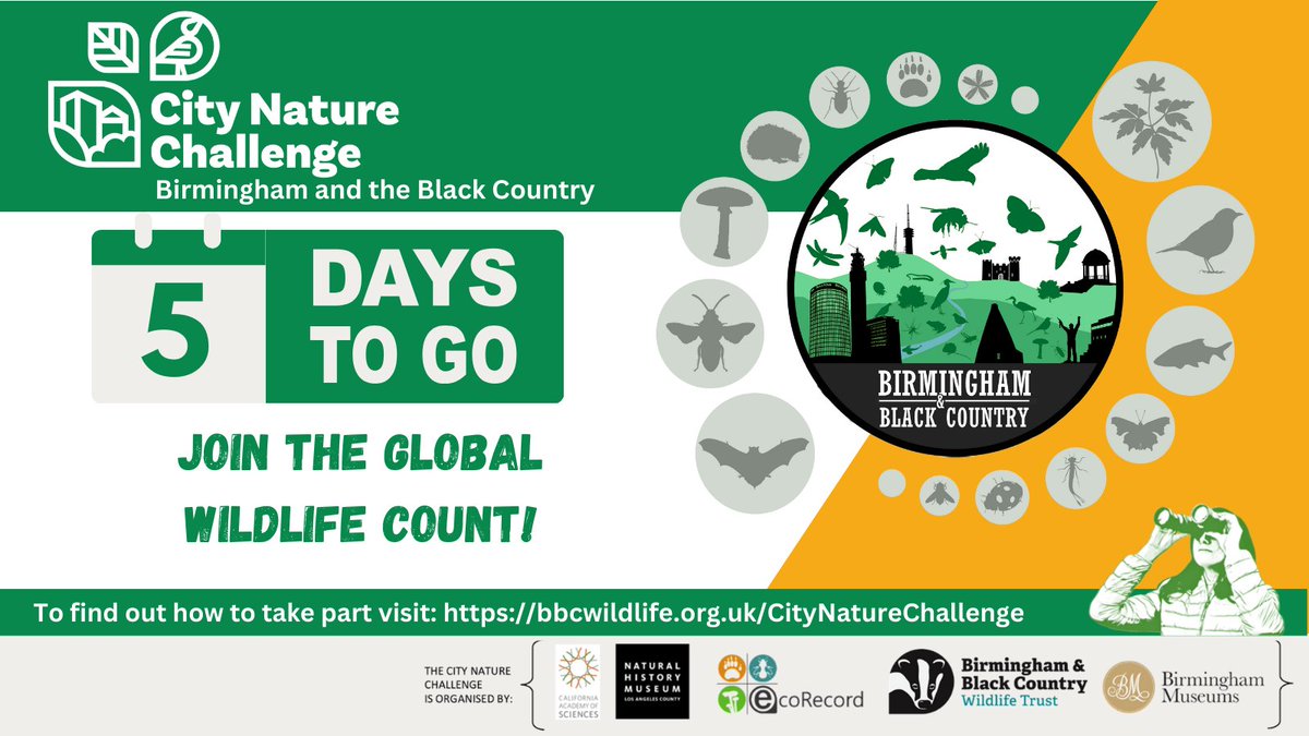 Only 5 more days until the #CityNatureChallenge ! Don't forget to check out our events: bbcwildlife.org.uk/events
#CityNatureChallenge #citynaturechallenge2024 @citnatchallenge #CitizenScience