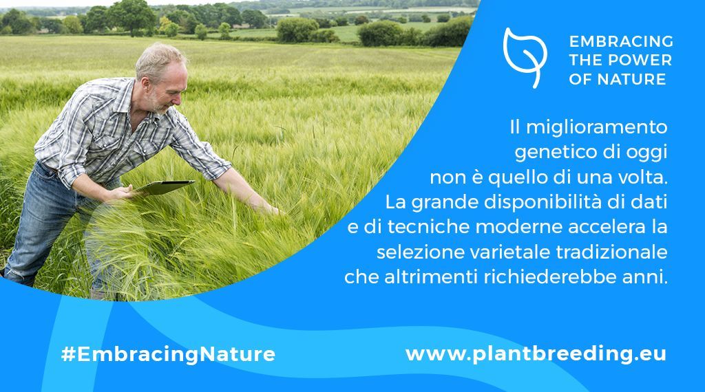 L’#InnovazioneVegetale di oggi non è più quella di una volta! Le tecniche di selezione varietale moderne ci permettono oggi di risparmiare molti anni

#EmbracingNature