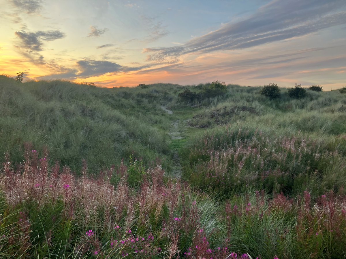 This #WorldEarthDay we're celebrating the oft-neglected transitional spaces where sea, coast & river meet 🌊They tell us a lot about the health of the landscape & offer some of the best habitats for wildlife. Nature has no boundaries & neither does #naturerecovery @LIFEprogramme