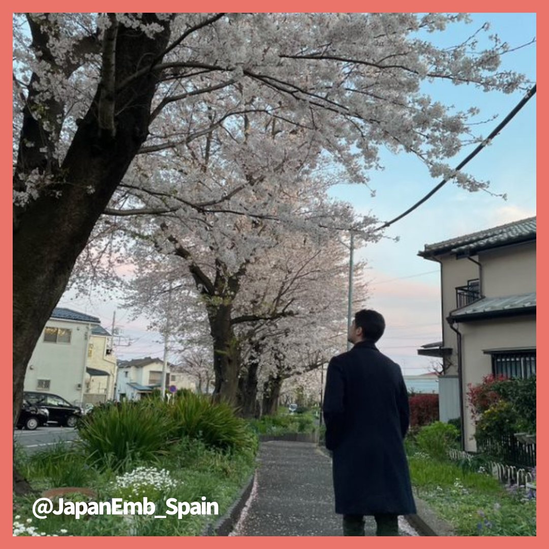 JapanEmb_Spain tweet picture