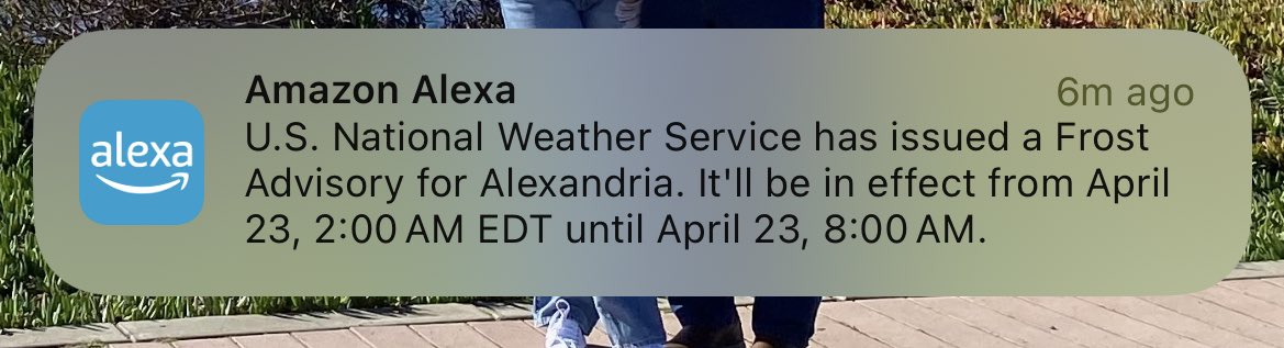 Spring en el DMV🫠