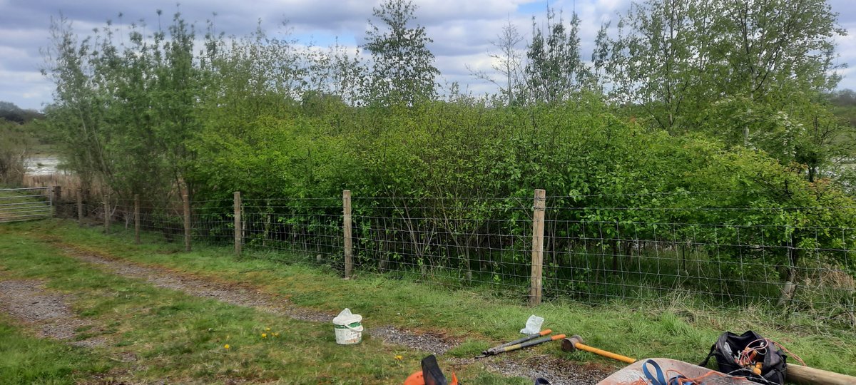 It's #wardenwednesday and the team have been busy fixing fences. This is an annual task, one which takes priority now we have finished the habitat work for the season. This year getting fence posts in the ground is a little easier thanks to the wet ground! 📷 D.Williams