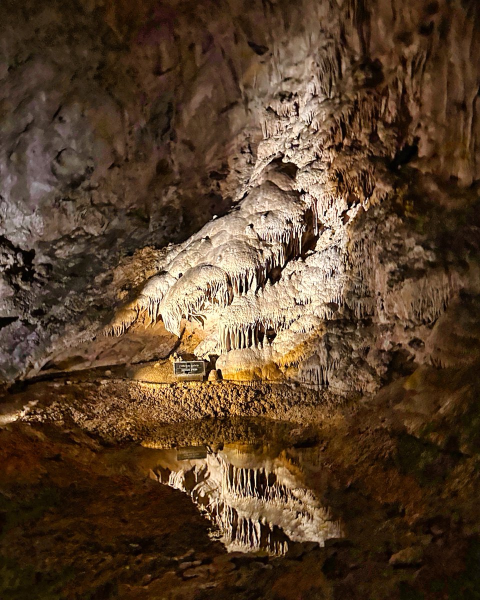 #NationalParksWeek Day 3: #EarthDay2024 Maybe for Earth Day we should all recalibrate our thinking by going inside the earth to absorb the fragility of our entire planet. Big Room water reflection @CavernsNPS. #Earth #caves #fragile #thinking #NationalParkWeek