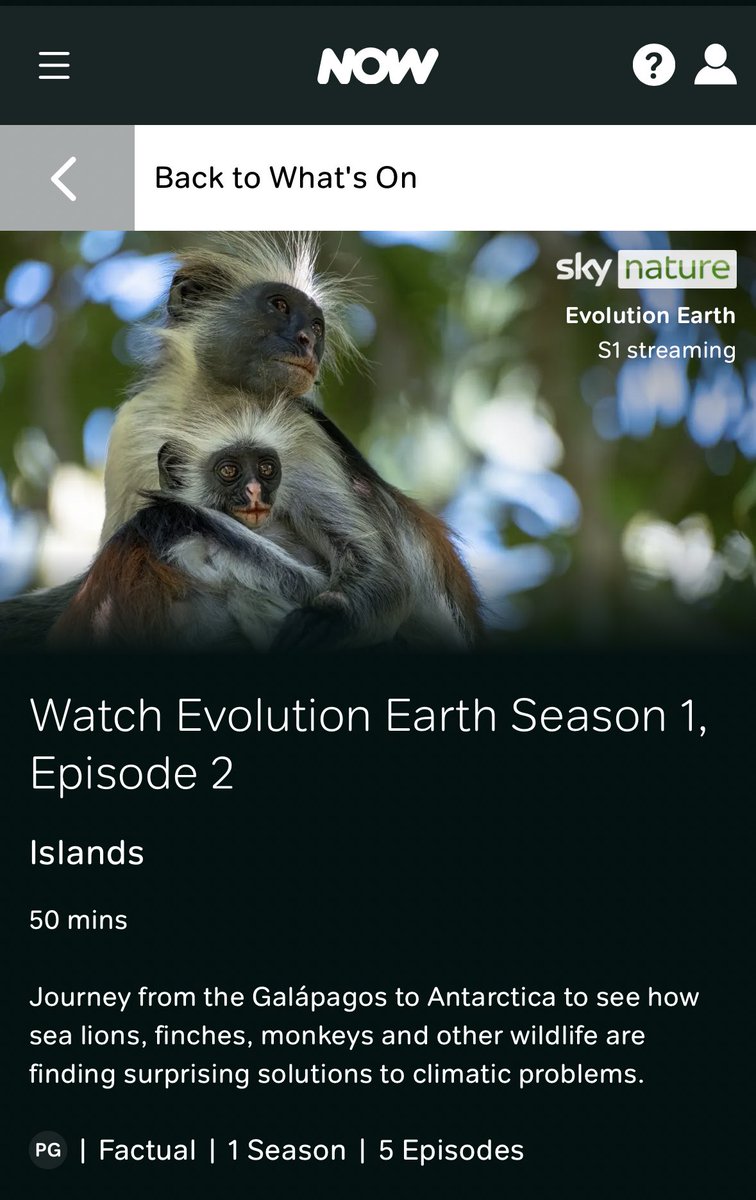 Zanzibar Red Colobus Project tweet media