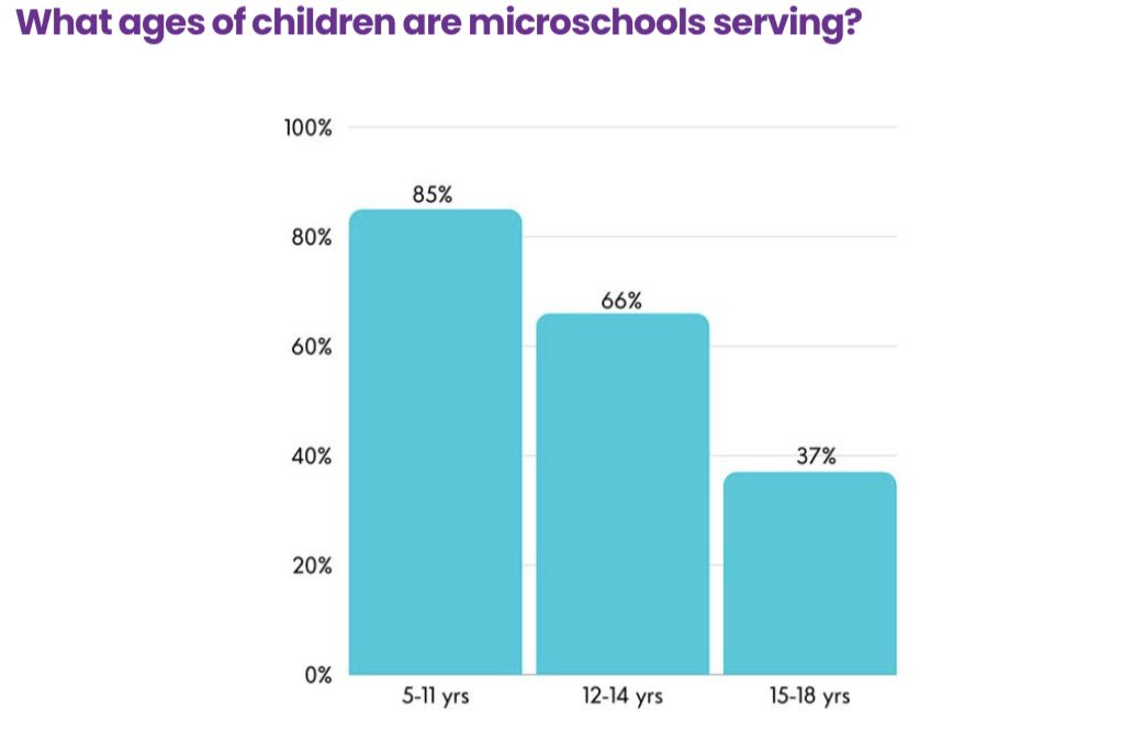 Today’s microschooling sector trends somewhat younger, with more microschools serving elementary school ages than others. For the full 2024 American Microschools Sector Analysis (free), go to: microschoolingcenter.org/sectoranalysis…