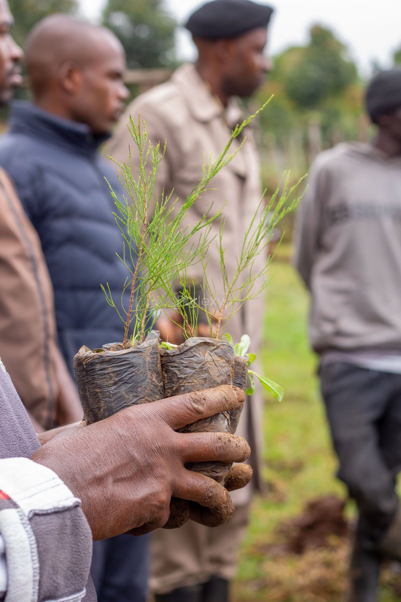 Happy Earth Day #EarthDay #earthdayeveryday #EarthDay2024 #ClimateAction #climate #Photographer #TreePlanting #TreePlantingChallenge #treeplanting2024 #ClimateActionNow