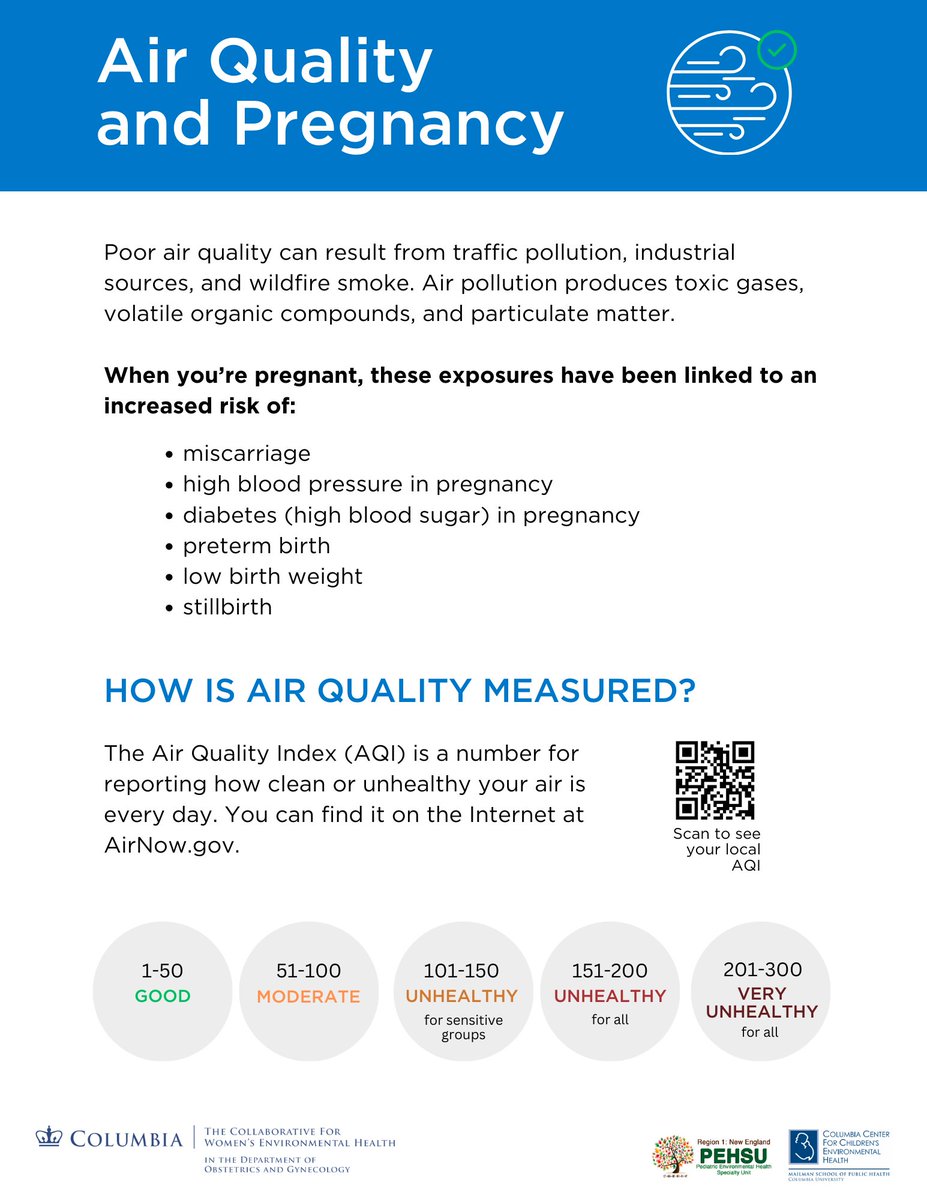 Air quality and pregnancy, p.1 (download at CWEH website)