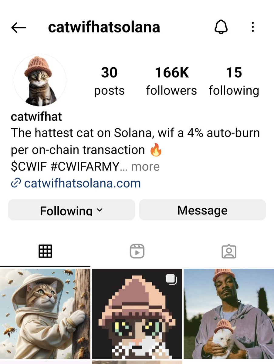 The hattest cat on Solana is now dropping fire on Instagram. 
#SolanaSummer is going to be hot and $CWIF is bringing the flames. 
😺🧢🔥