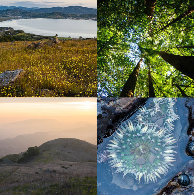 Can you name these Marin County Parks locations? Celebrate the natural wonders of Marin on #EarthDay.