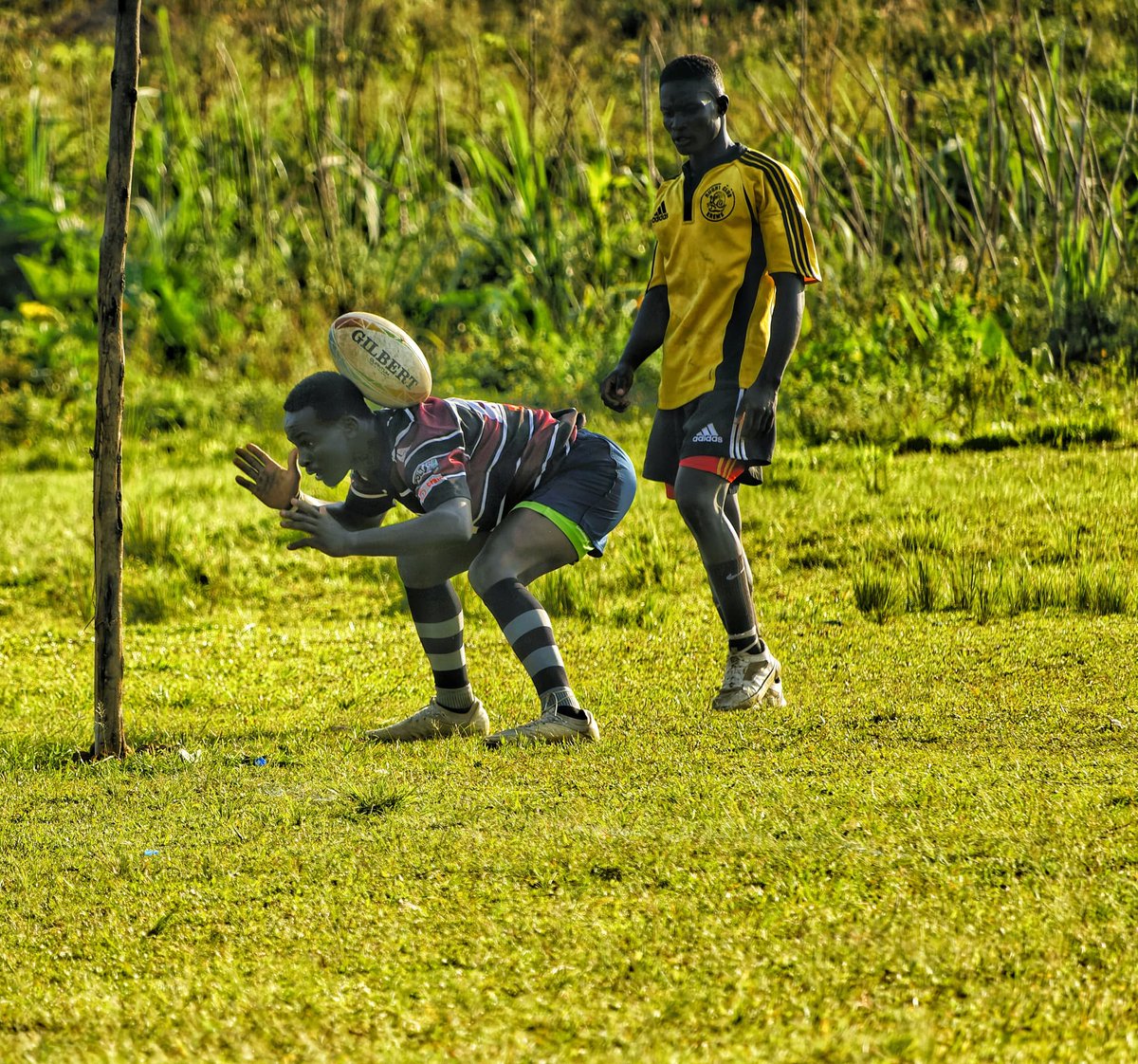 Ronald Madoi is an industrious rugby player who plays for the Wolves. 

Taking the field at his preferred flanker position, Ronald is known for his formidable tackles, powerful ball carries, and relentless work ethic.

📸: @Josh_ekuma

 #KnowYourWolf
#ElgonWolvesRugby
#AmbaEsolo