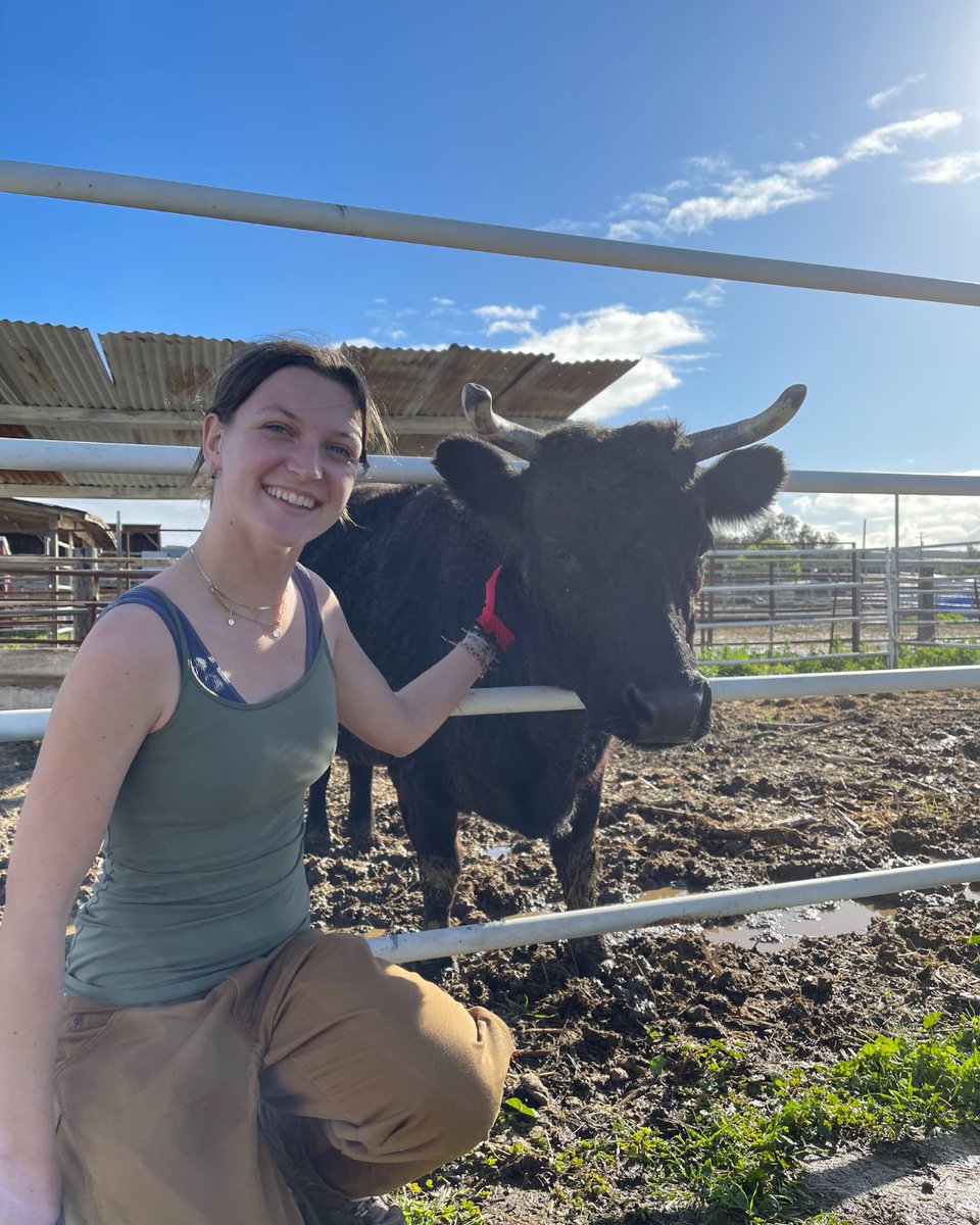 When your teacher asks you to write an essay, this is what they mean 🌎🌱♻️☀️👉 bit.ly/4d5AiE2 #EarthDay