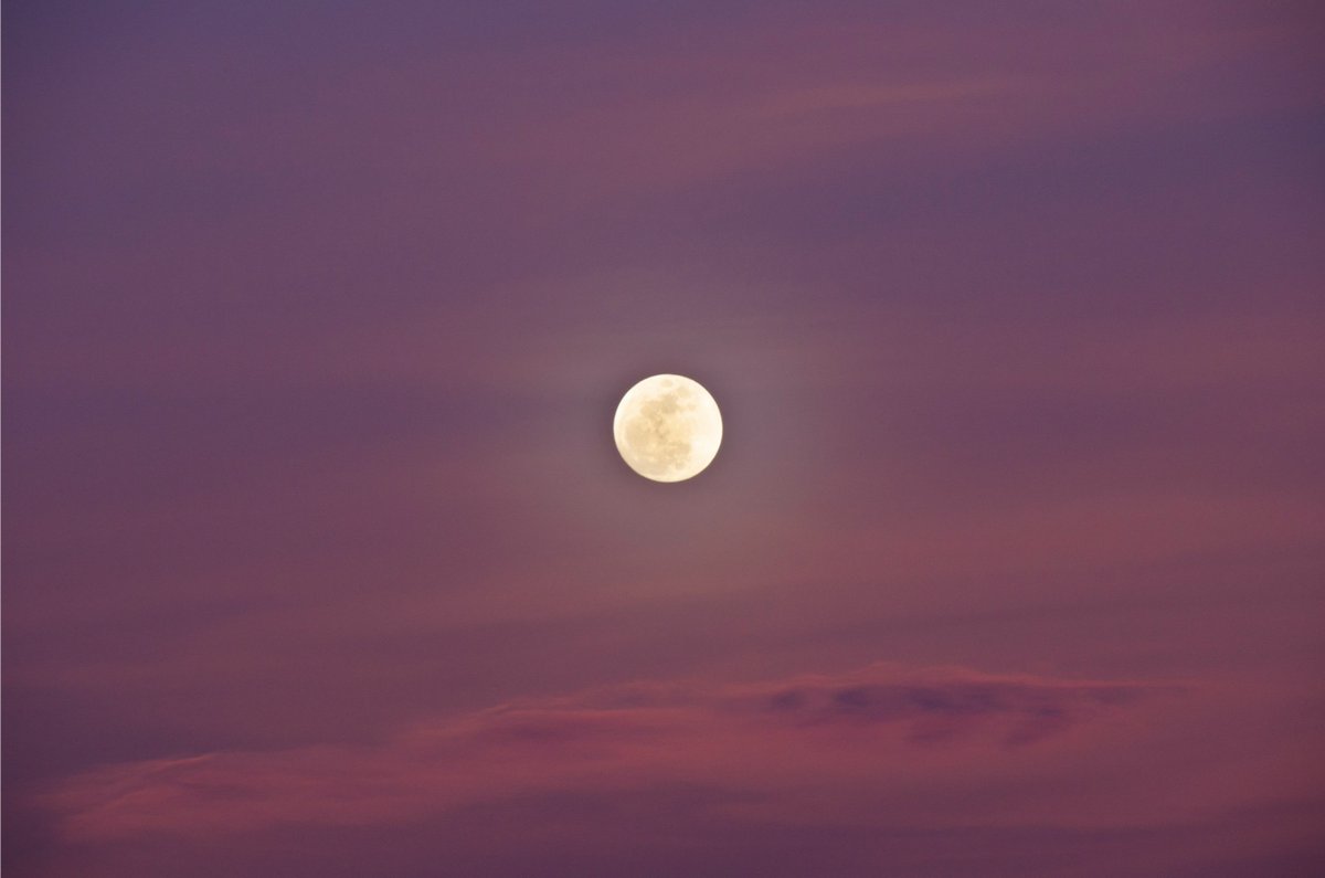 Pink really is your colour, Moon! 💗 Although it won’t actually give off a rose-coloured hue, the Pink Moon, named after spring's first blooms, will shine brightly in the sky. It will reach its peak tonight (April 23) at 7:49pm ET.