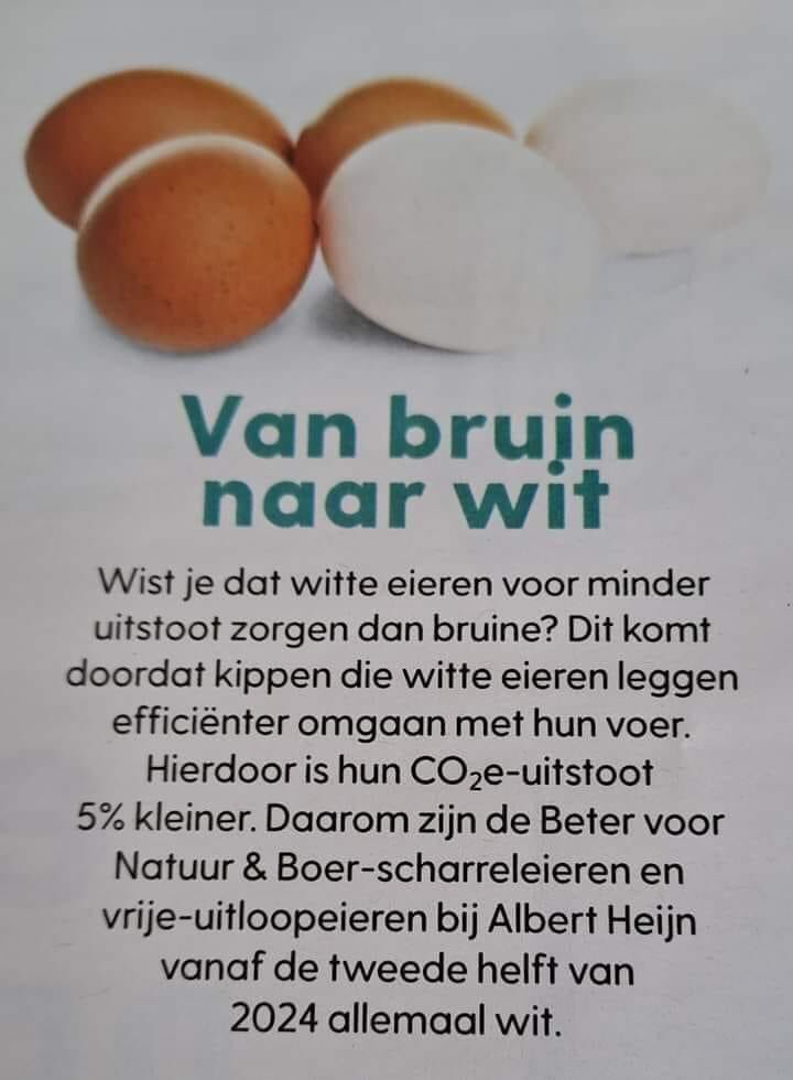 OK
Veeg me maar op.
Ik dacht vandaag genoeg idioterie geabsorbeerd te hebben,
kom ik dit tegen 👇🏻
Knijp me even?

#klimaathysterie #AH #eieren

#driehonderd 

🍀❤️🍀