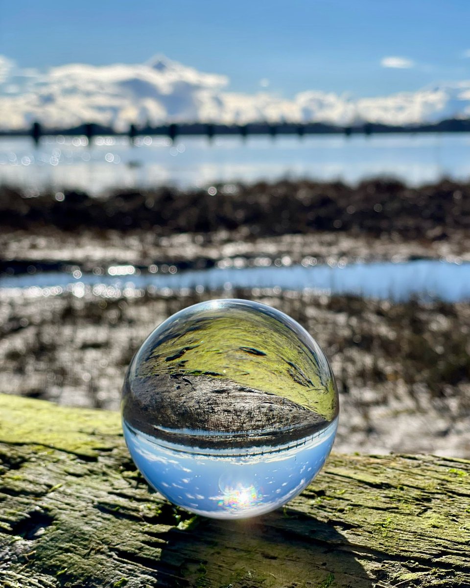 🌎 'The earth has music for those who listen.' ~ Holmes 📍 : #RichmondBC 📸 : lisacmomof3 (In) #EarthDay #RichmondMoments