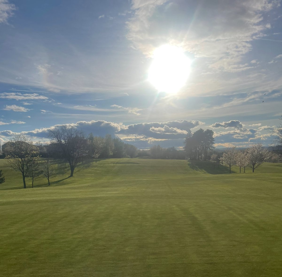 🌞☀️ showing off on the course tonight! ☀️🌞
#kingsbowgc #GolfingParadise #SunsetViews #HiddenGem #GolfLife #SunsetVibes #GolfCoursePhotography #GolfingCommunity #GolfIsLife #ExploreAndCapture #InstaGolf #GolfGoals #GolfLove #SereneScenes #GolfAddict #GolfCrazy #GolfCourseViews