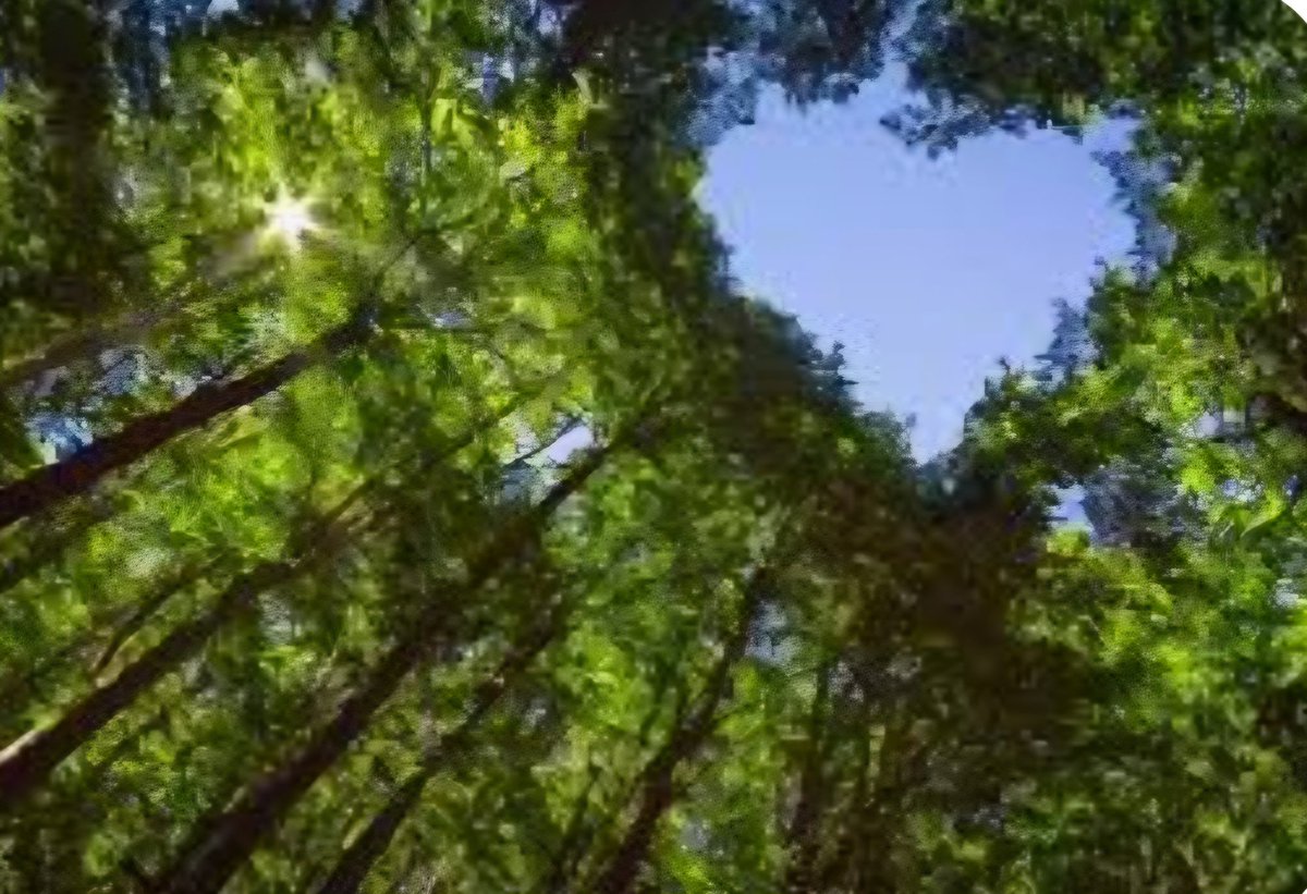 BexarBranches's tweet photo. Happy Earth Day! https://t.co/fnSnWPgCIq
