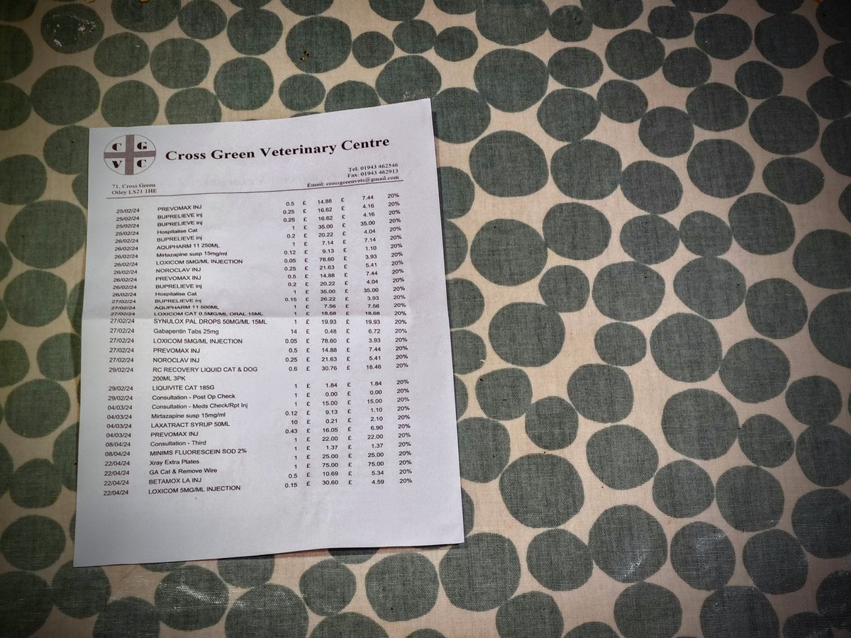 Left: one page of the three page bill for our cat's surgery
Right: the entire bill for my son's

Please can we look after the NHS?