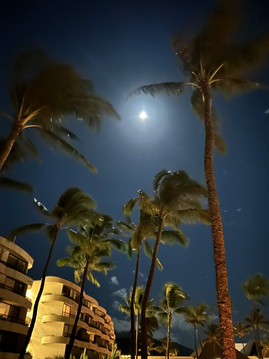 My Hawaiian night 🌺. A slight breeze in the air, whispering waves from the ocean and a beautiful full moon. ~Not all those who wander are lost J. R. R. Tolkein #Paradise #Wanderlust #Thankful #lifeisgood