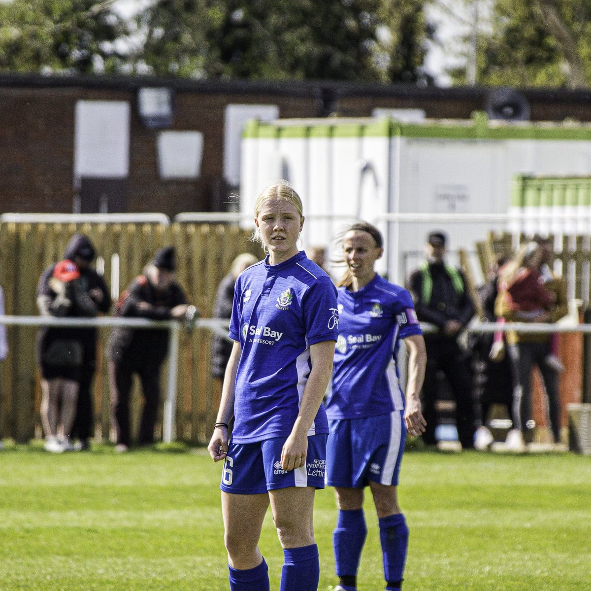 selseywfc tweet picture