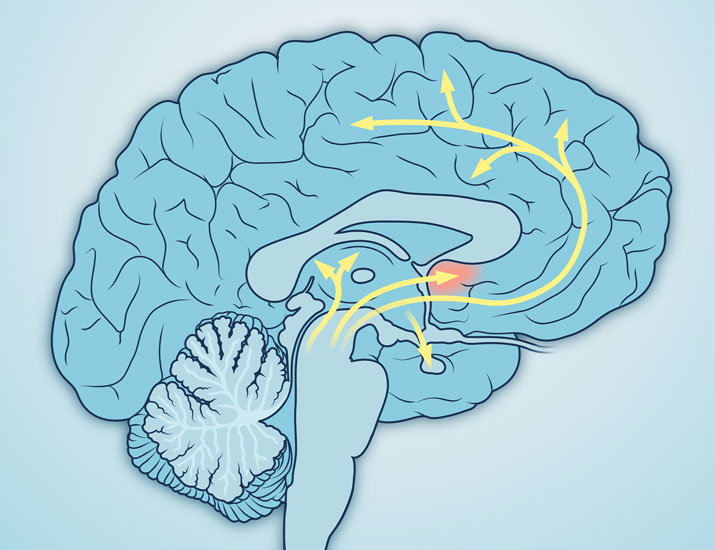 Scientists at @SinaiBrain have decoded how cocaine use disorder skews the modification of proteins in the brain’s “pleasure center” in mice—providing a compendium of data that may inform future therapies for cocaine addiction. @EricJNestler @PhilippMews scim.ag/6GQ