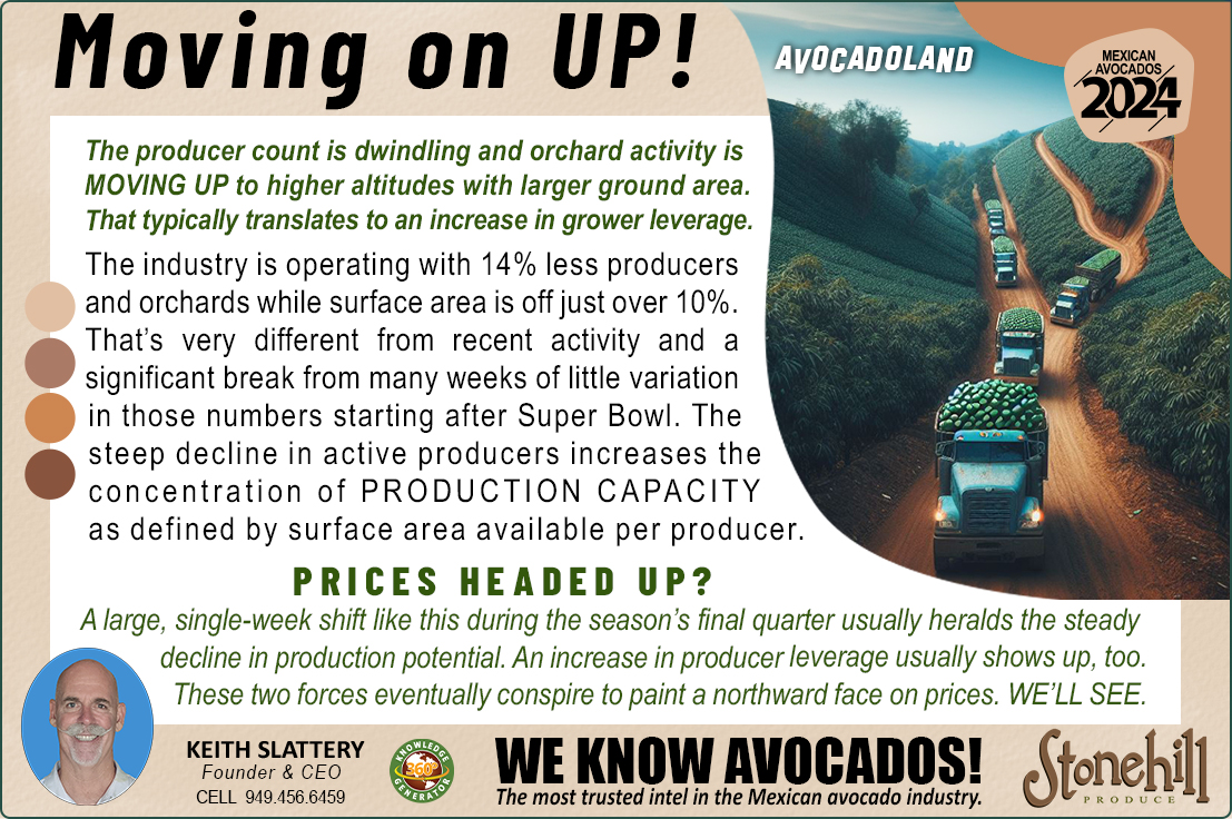 Keith shows us the current landscape of the market in AVOCADOLAND.🥑 Get the intel you need to maximize your avocado category. 

Call or text Keith at 949.456.6459 or email Slattery@StonehillProduce.com. 

#avocados #grocery #supermarketnews #supermarkets #shoppermarketing
