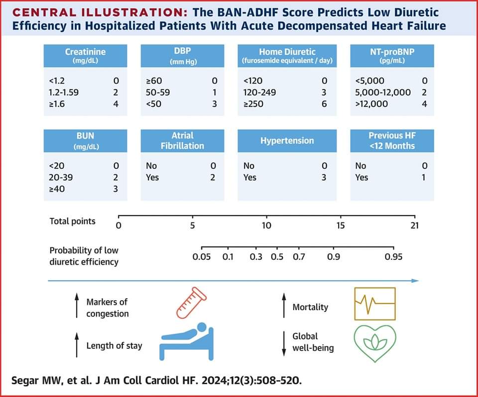 🔴 The BAN-ADHF Score predicts low diuretic efficiency, increased length of stay, and higher symptom burden in patients hospitalized with #ADHF. 

✅Can this tool inform initial diuretic dose to improve decongestion and outcomes? bit.ly/4afbwPy

#JACCHF #HeartFailure
