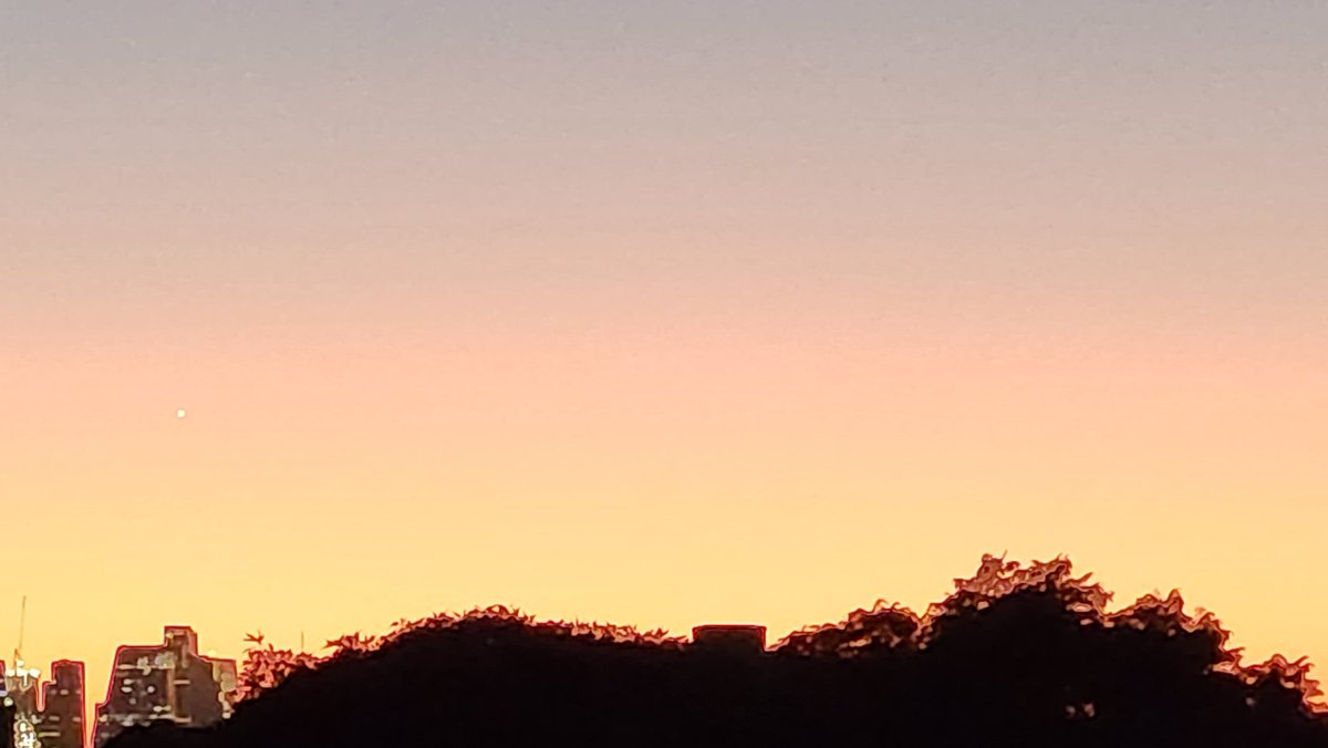 CherScheff's tweet photo. Venus in pastel skies.
Tuesday.
#VenusRising https://t.co/BdG3xywqmZ