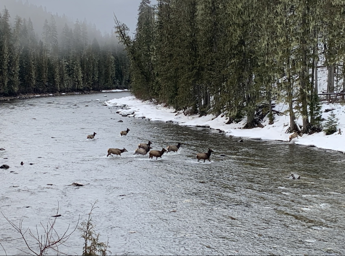 Happy Earth Day from some of the prettiest places in Idaho, captured by our employees 🌍