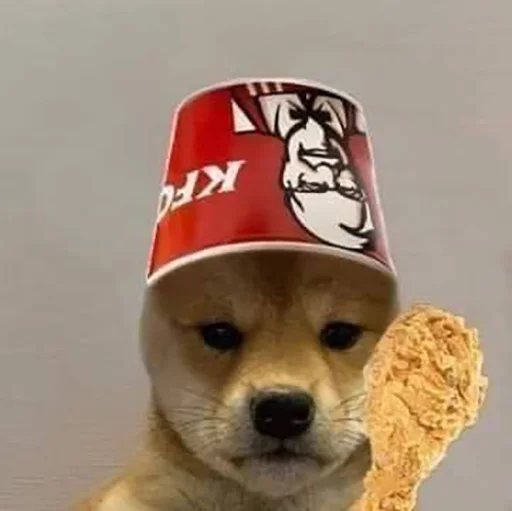 dogwifhat tweet media