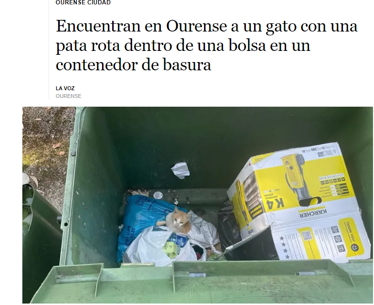 Una vecina del núcleo cercano al pazo de Ramirás, de #Ourense ,se llevó una desagradable sorpresa cuando iba a dejar la basura en el contenedor ubicado en la zona. Dentro había un gato vivo, aunque herido. #maltratoanimal  acortar.link/KbHkLk