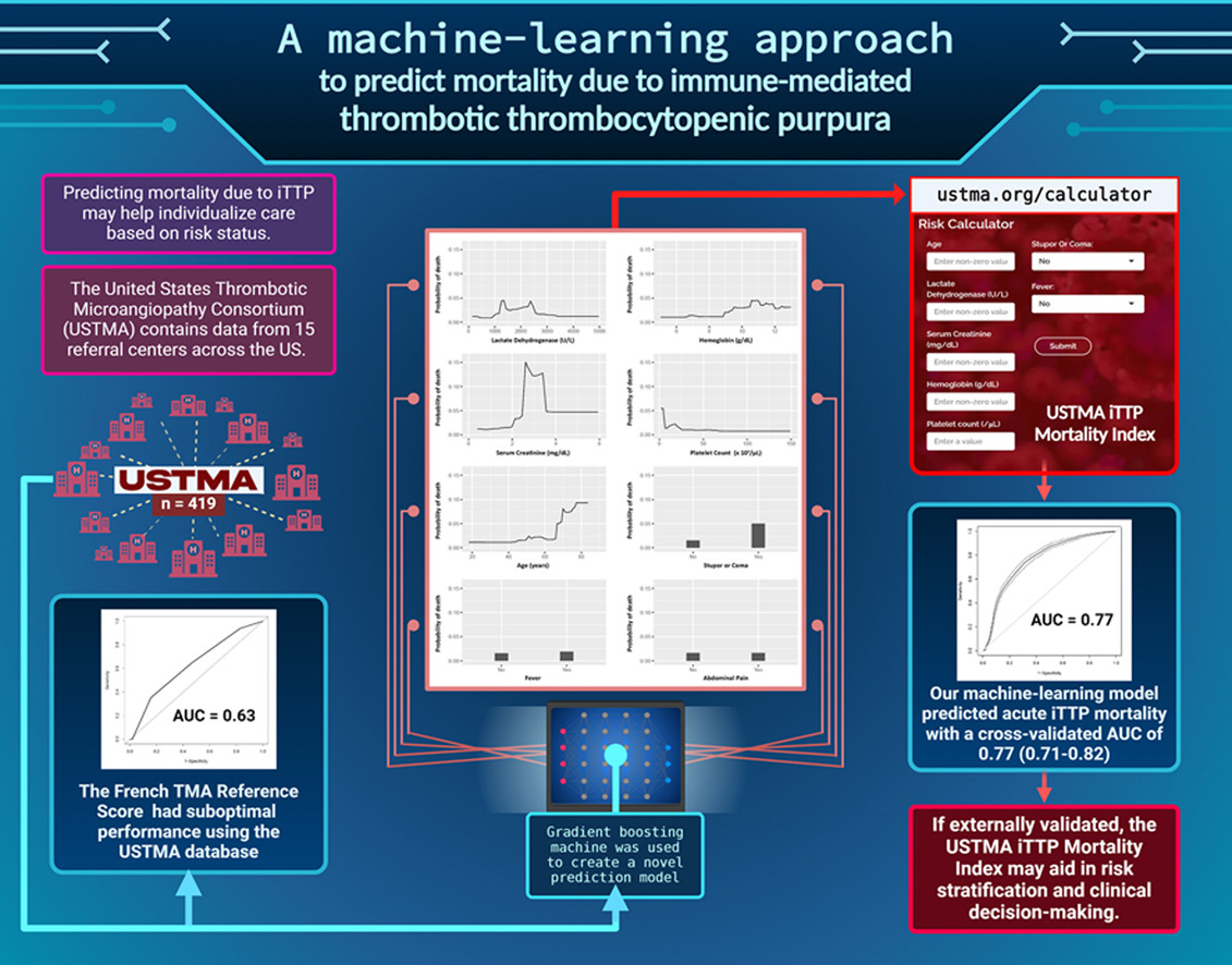 Can #MachineLearning help in developing prediction models? In this #RPTH Original Article, authors report on a new mortality index developed for iTTP utilizing #ML from the USTMA registry @DoctorYazanA @BloodClotDoc @DrXLongZheng @ttpdoc @heme_fan Read rpthjournal.org/article/S2475-…