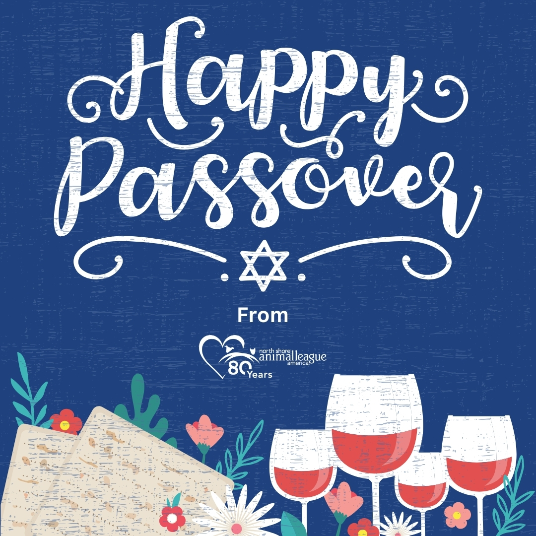 Wishing a very happy #Passover to all who celebrate! #GetYourRescueOn #HappyPassover