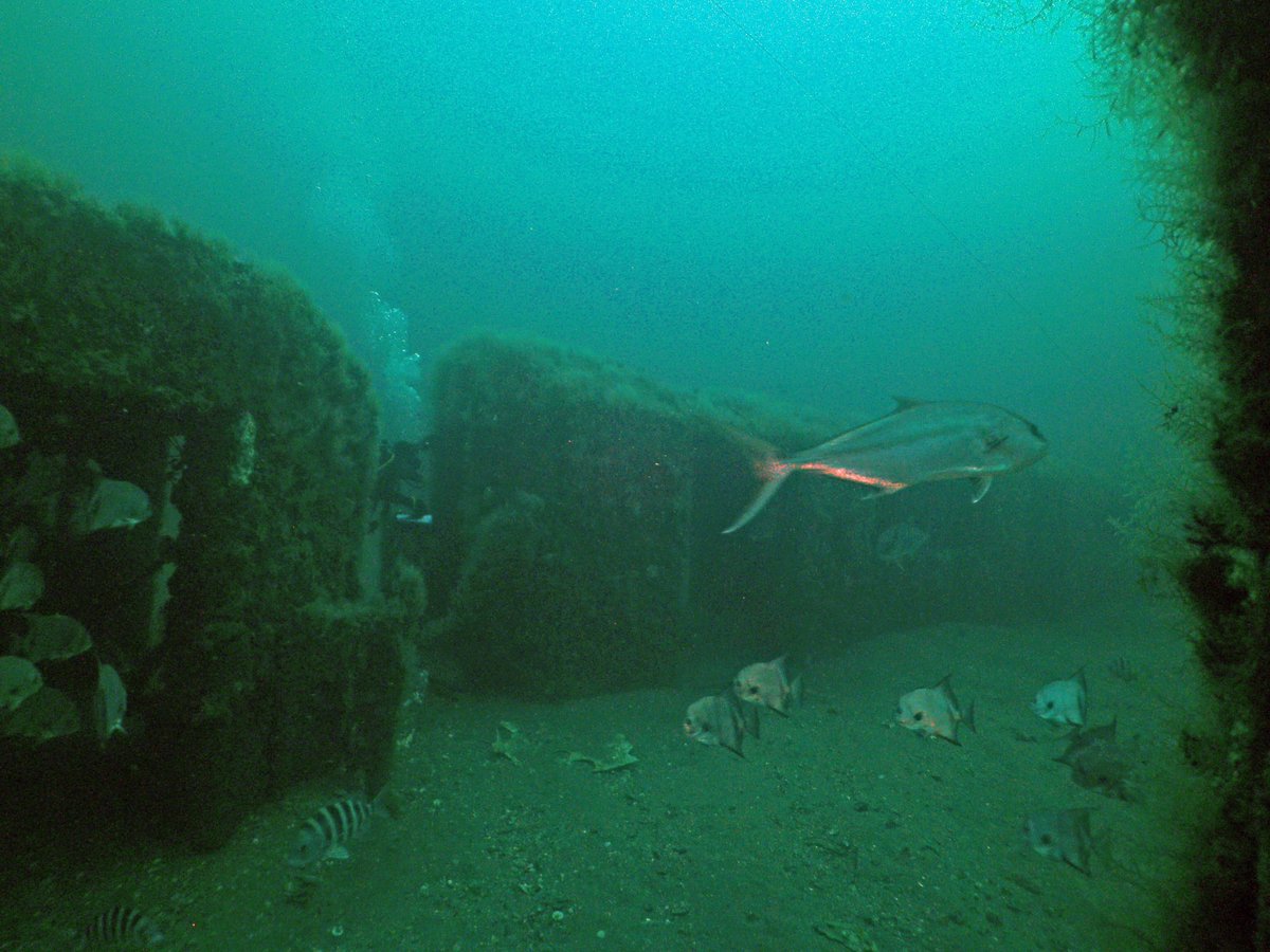 Taken by Robert Martore of @SCDNR, these underwater photos show the #RedbirdReef. Following rigorous protocols approved by the @EPA, the cleaned shells of these obsolete cars were placed on ocean reef sites to create new habitats for varied sea life. #EarthDay