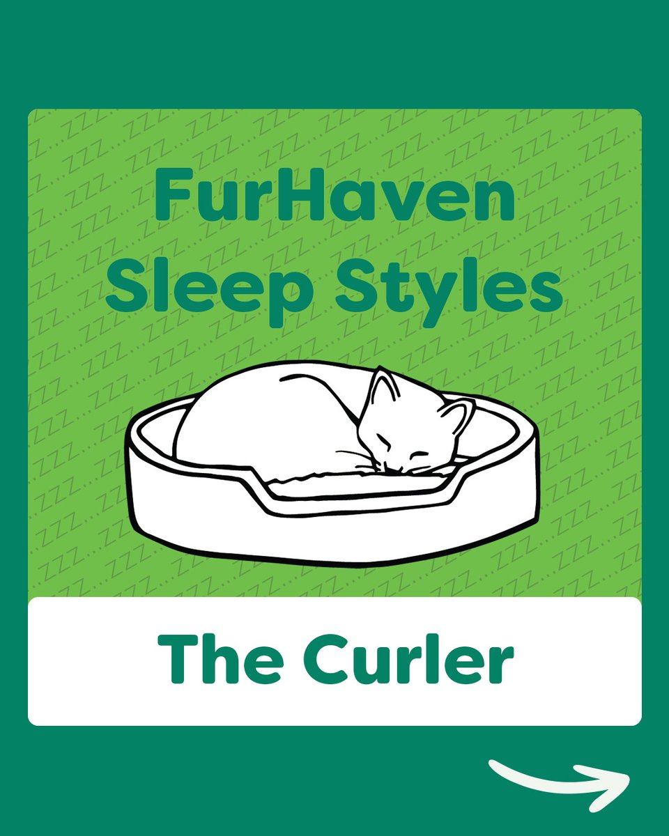 furhavenpet's tweet photo. Is your pet a #Curler? Let us know below, or click the link in our bio to learn more!

#FurHaven #FurHavenPetProducts #PetBed #DogBed #CatBed #SleepStyles #CurlerSleepStyle #FurHavenSleepStyles https://t.co/EhlL86Ob5x
