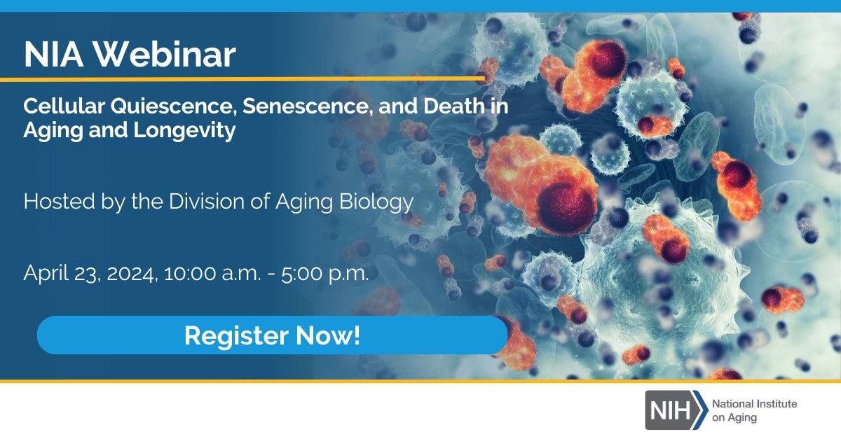 Join NIA on April 23 for a virtual workshop on cellular quiescence, senescence, and death in aging. Researchers and clinicians are invited to discuss the current state of aging biology, outline opportunities to better understand aging biology, and more. go.nia.nih.gov/3WarqHb
