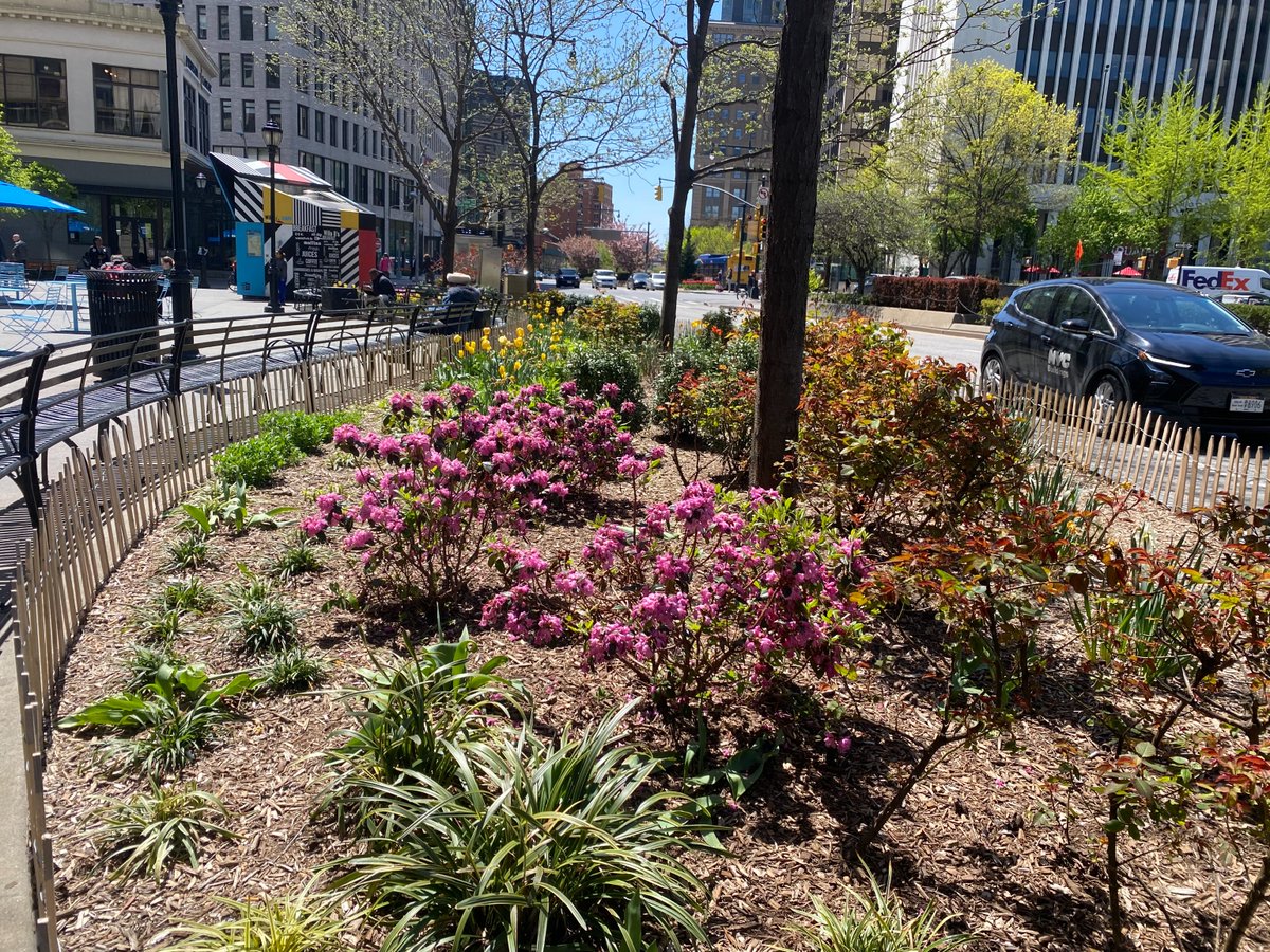 Happy #EarthDay, Downtown Brooklyn! 🌎