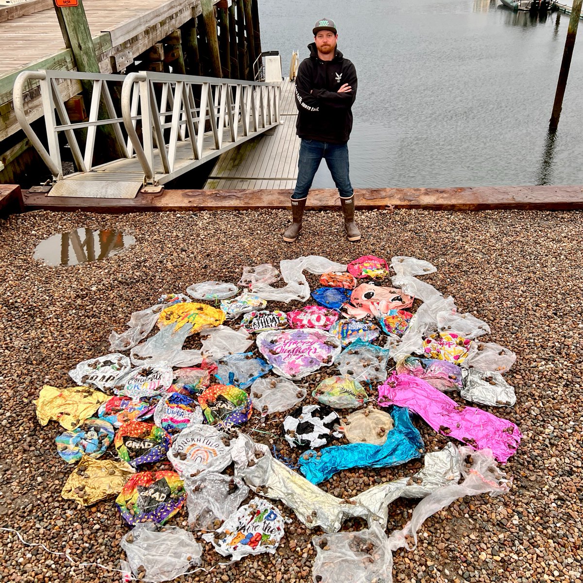 Commercial fishermen are helping tackle marine pollution, one balloon at a time.

Balloons may be fun for celebrations, but they are a pervasive form of marine debris. Find out how a group of fishermen are combating this threat to marine life: bit.ly/4aONPhJ

#EarthWeek