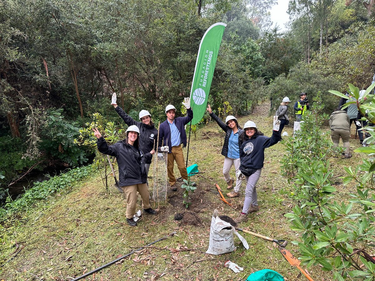 En el marco del Día de la Tierra: Fundación Reforestemos realiza jornada de reforestación en el Jardín Botánico de Viña del Mar g5noticias.cl/2024/04/22/en-…