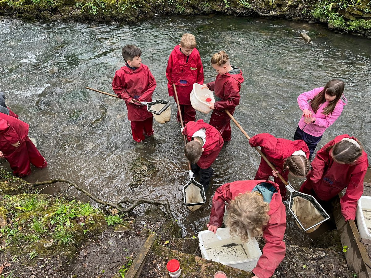 TheMeadowsPS's tweet photo. Y4 have had a great first afternoon on their camp! All settled in and then off for stream study, tunnels and an evening walk! 🥰 https://t.co/nIyJUfAuuo