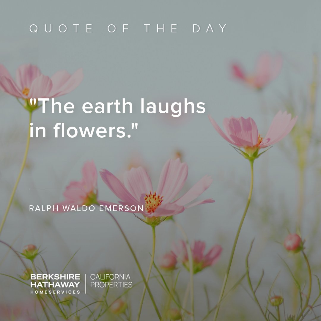 🌍🌸 Let's cherish and protect our planet's vibrant beauty, finding joy in every blossom as we work towards a greener, more sustainable future. Happy Earth Day! 🌿

#EarthDay #NatureInspiration #ProtectOurPlanet #QuoteOfTheDay #MotivationMonday