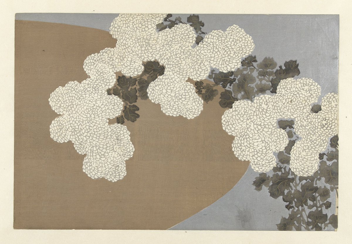 Chrysanthemum, by Kamisaka Sekka, 1909

#nihonga
