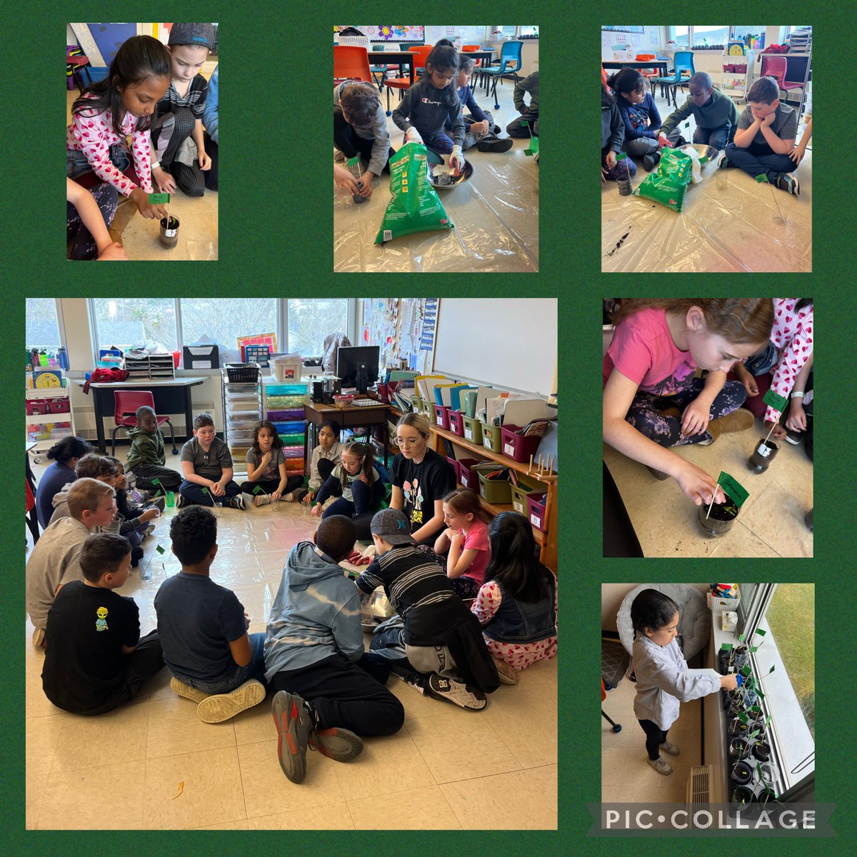 MsKatrinaB123's tweet image. Happy Earth Day! 🌎 The students reused plastic bottles to plant maple tree sprouts! 🌱 Ended our day watching The Lorax. Learned about respecting the environment and protecting the planet. @standrewselem #EarthDay2024