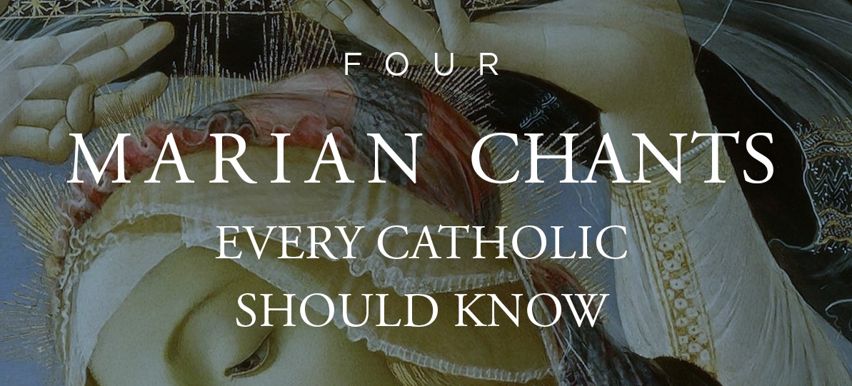 oclatinmass's tweet photo. This week's Tridentine Community News: Four Marian Chants Every Catholic Should Know - Part 1 of 2
https://t.co/yXOMEuDmHA #Catholic https://t.co/HpxZSoeet7