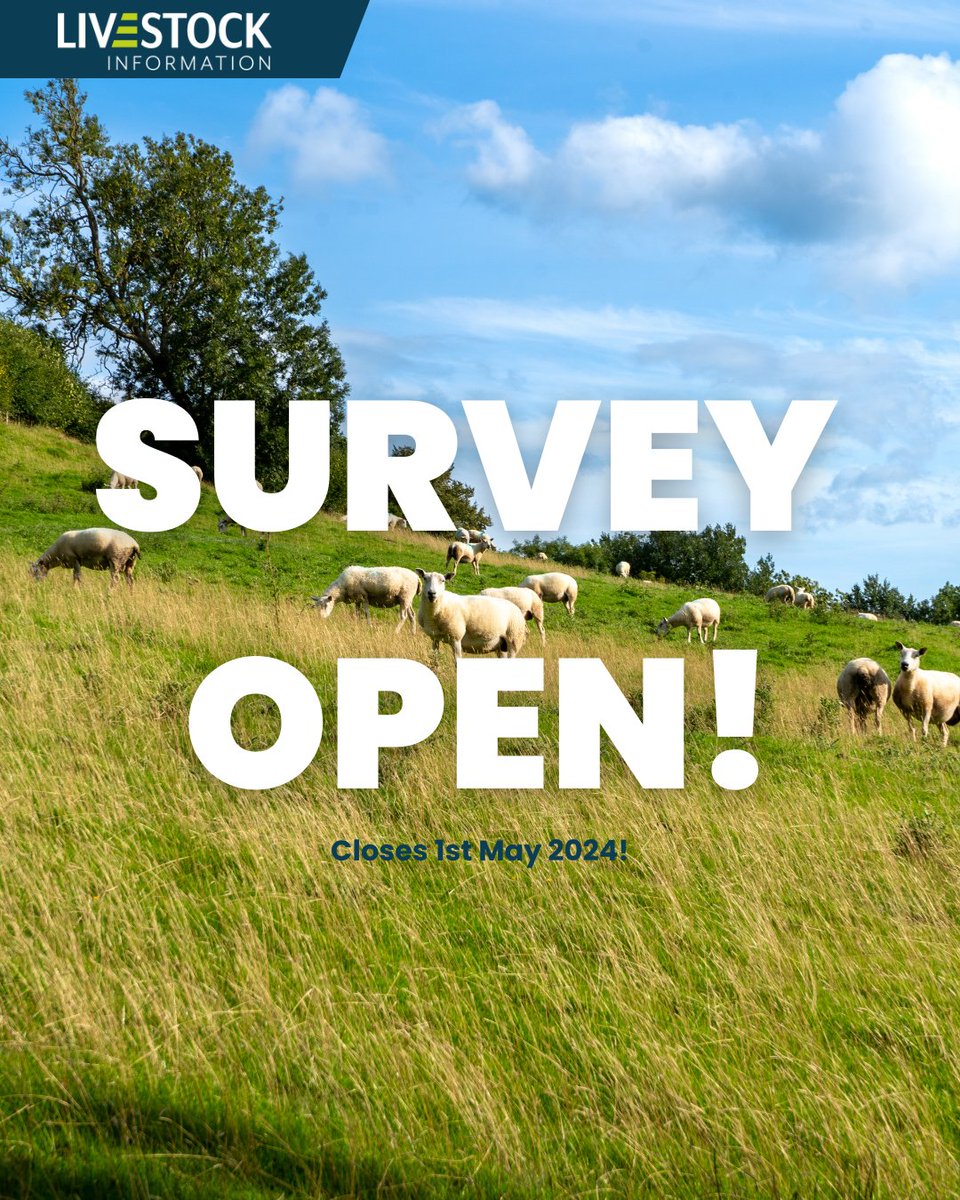 Missed our survey? Not to worry, it is live until 1st May 🐑 We've created a survey designed to delve into your preferences and experiences regarding sheep movement reporting! Open to keepers in England ONLY! 👇🏻 surveymonkey.com/r/YCV3XY9 #sheepfarming #sheep #sheepfarmer