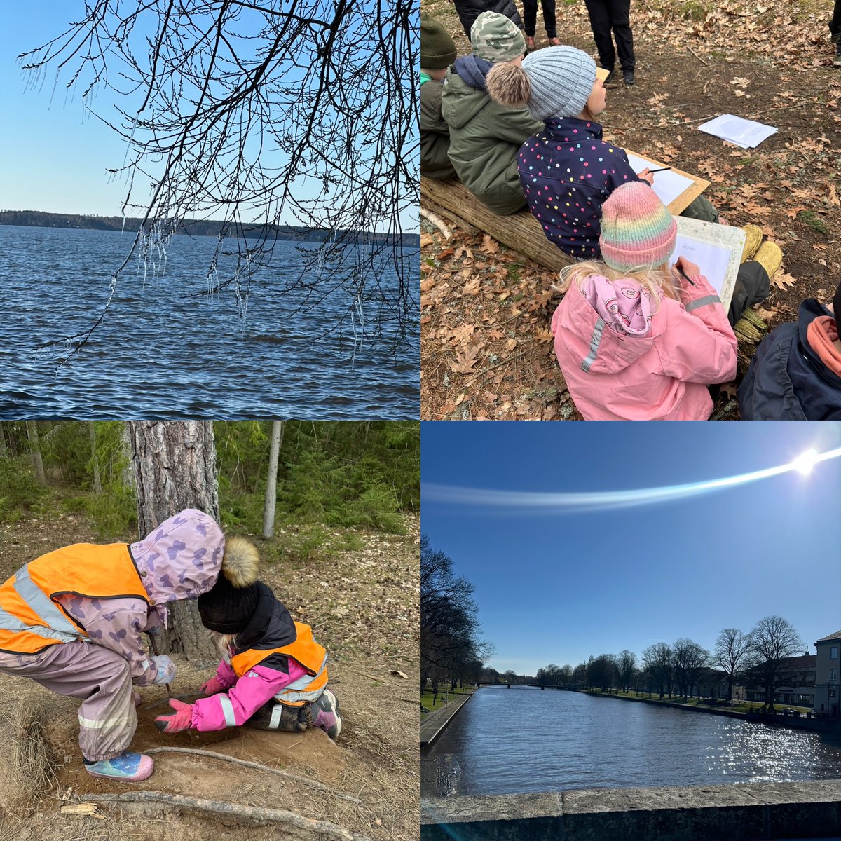 Miss Corner tweet media