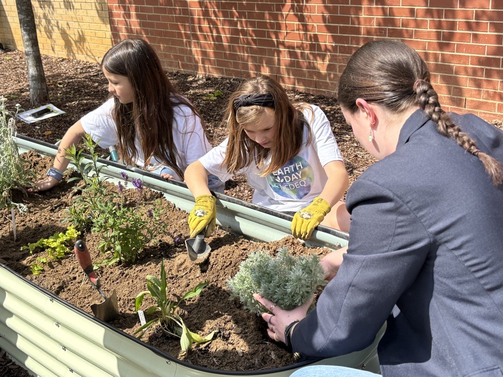 Wake County Public School System tweet media