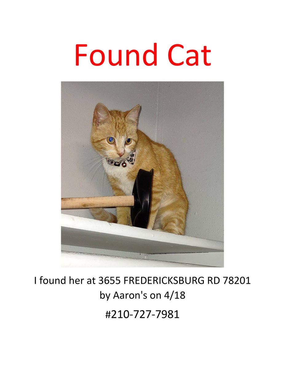 Cat found in #SanAntonio #LostCat #FoundCat