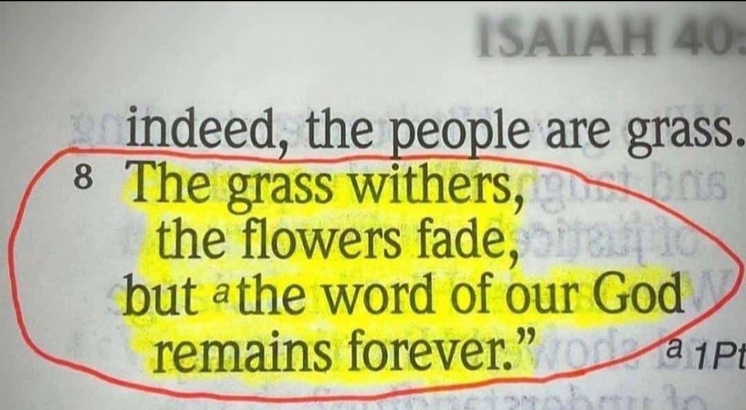 EricanSA's tweet photo. Isaiah 40:8 ♥️ https://t.co/sVvLQi8KJY